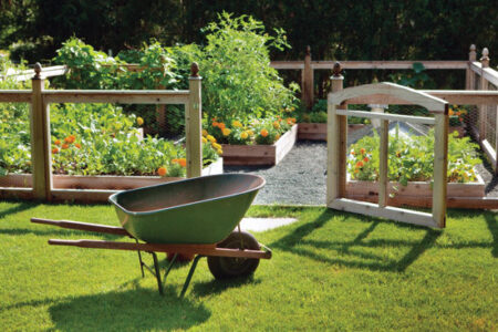 Avoid Common Gardening Mistakes Image